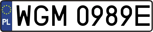 WGM0989E