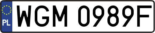 WGM0989F