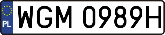 WGM0989H