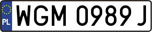WGM0989J
