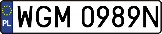 WGM0989N