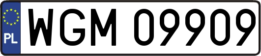 WGM09909