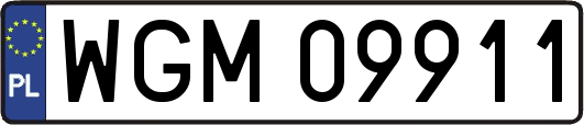 WGM09911