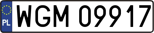 WGM09917