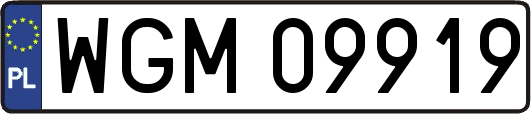 WGM09919
