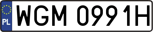 WGM0991H