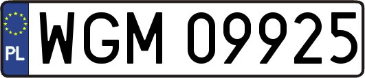 WGM09925
