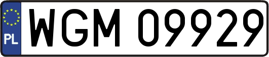 WGM09929
