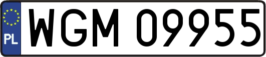 WGM09955