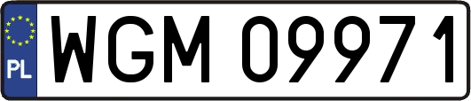 WGM09971