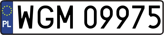 WGM09975