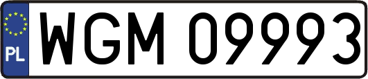 WGM09993