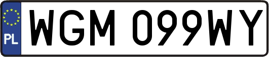WGM099WY