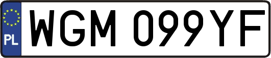 WGM099YF