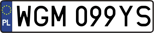 WGM099YS