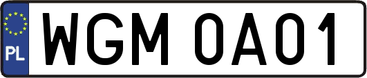 WGM0A01