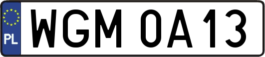 WGM0A13