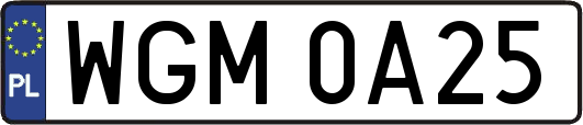 WGM0A25