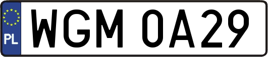 WGM0A29