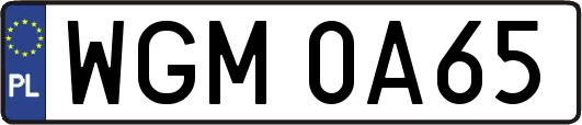 WGM0A65