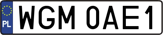 WGM0AE1