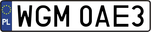 WGM0AE3