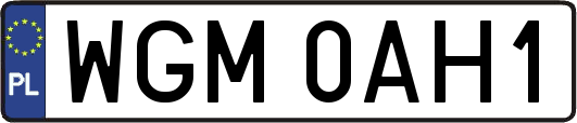 WGM0AH1