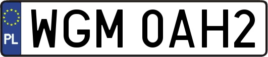 WGM0AH2