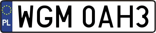 WGM0AH3