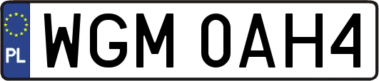 WGM0AH4