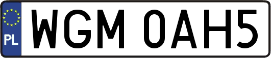 WGM0AH5