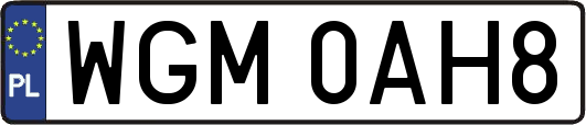 WGM0AH8