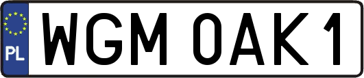 WGM0AK1