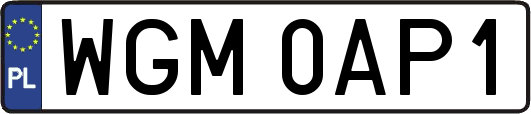 WGM0AP1
