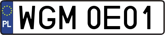 WGM0E01