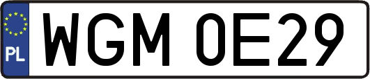 WGM0E29