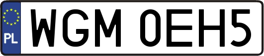 WGM0EH5