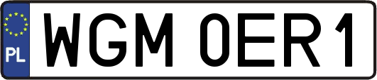 WGM0ER1