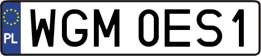 WGM0ES1