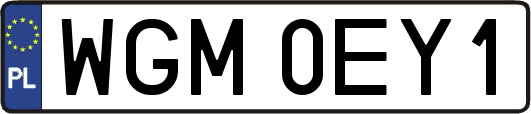 WGM0EY1