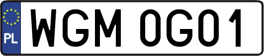 WGM0G01