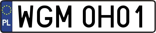 WGM0H01