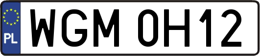 WGM0H12