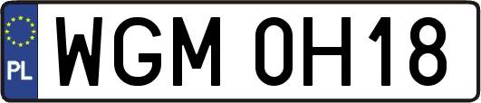 WGM0H18