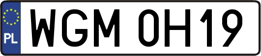 WGM0H19