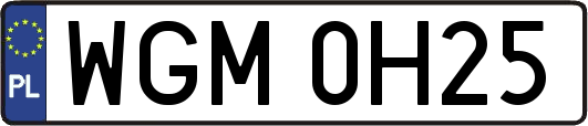 WGM0H25