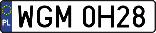 WGM0H28