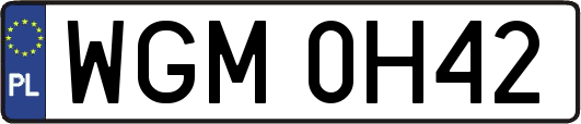 WGM0H42
