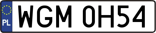 WGM0H54