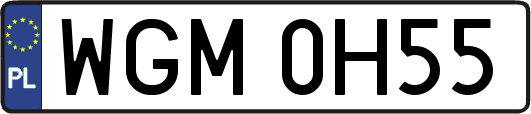 WGM0H55